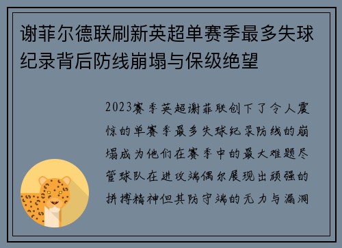 谢菲尔德联刷新英超单赛季最多失球纪录背后防线崩塌与保级绝望 谢菲尔德联刷新英超单赛季最多失球纪录背后防线崩塌与保级绝望